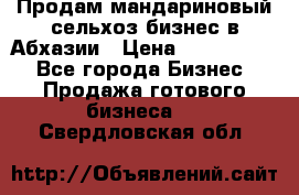 Продам мандариновый сельхоз-бизнес в Абхазии › Цена ­ 1 000 000 - Все города Бизнес » Продажа готового бизнеса   . Свердловская обл.